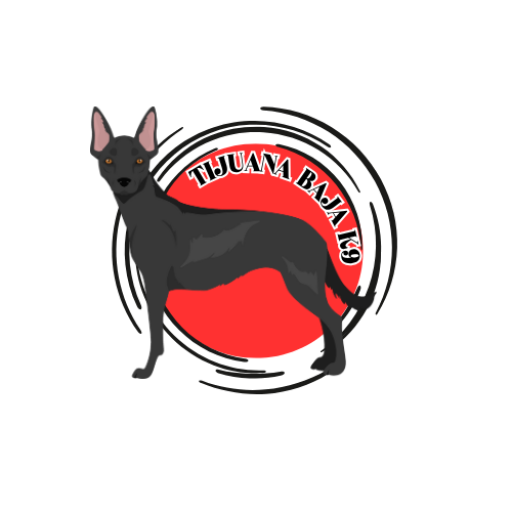 TIJUANA BAJA K9